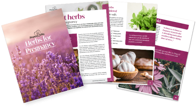Preview of the Herbs In Pregnancy handout